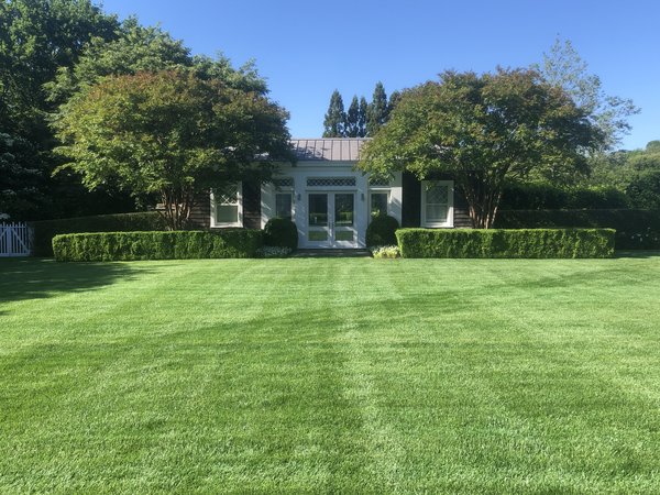 The LI Lawn Whisperer