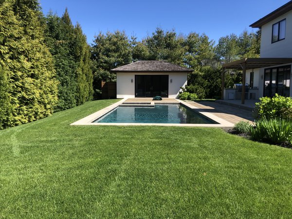 The LI Lawn Whisperer