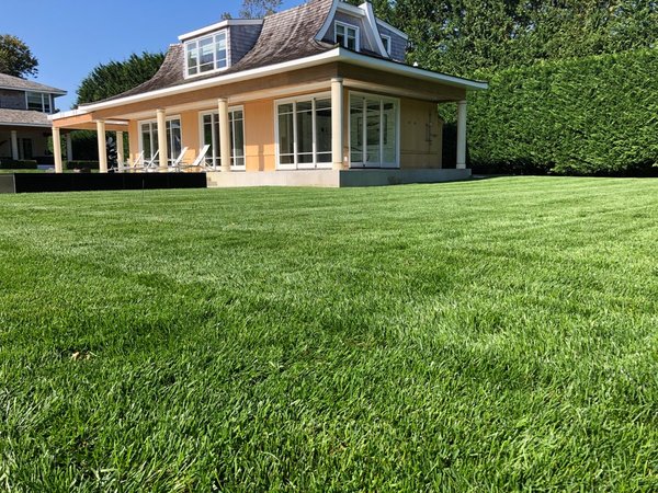 Healthy green residential lawn